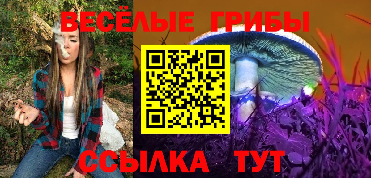 Псилоцибиновые грибы GOLDEN TEACHER Лесосибирск